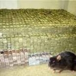 Spiritual Rats / Short Boys (Amagudwane) That Brings Money, For Hire Call / WhatsApp: +27722171549