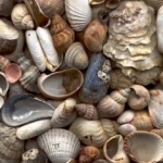 Effective Lost Love Spells Caster Prof Njuba Nkoko Call / WhatsApp +27722171549 