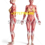 Are you looking for a +27717785486 trusted supplier for Hager Werken embalming powder Limpopo?