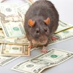 Spiritual Rats / Short Boys (Amagudwane) That Brings Money, For Hire Call / WhatsApp: +27722171549