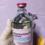  Order Pentobarbital, Xanax, Mdma Weed, Crystal Meth, Ecstasy, Adderall with Bitcoin Only
