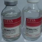 (Email: chemszion@gmail.com) Buy nembutal pentobarbital In Canada | Buy nembutal power pentobarbital sodium in Alberta| Buy nemb