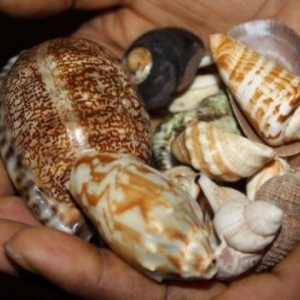 24-Hours Death Spells-Revenge Spells That Work Online{+256730252540} To Blockedword/sentence Someone In Bed,Usa,Canada, Singapore,Uk,Italy